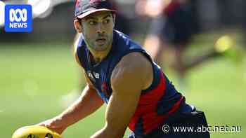 Petracca cracks rib during pre-season training as injury woes continue