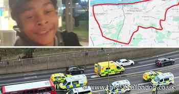 Police fear more ‘serious youth violence’ after boy stabbed to death on Woolwich bus