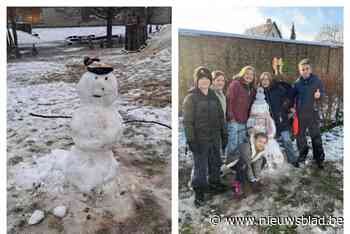 FOTO. Haacht genoot van de sneeuw