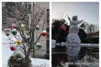 FOTO. Tremelo genoot van de sneeuw