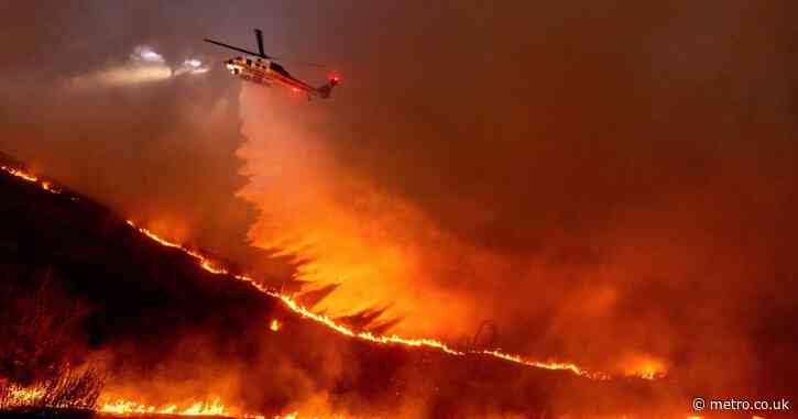 LAPD arrest ‘arsonist’ accused of purposely starting California wildfires