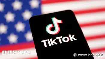 TikTok to make final Supreme Court plea on US ban