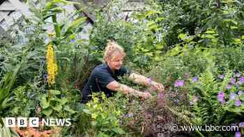 Charity pledges to 'ramp up' wildlife habitat work