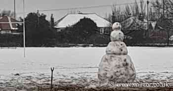 Local 'absolutely disgusted' after spotting obscene snowman on walk with grandchildren