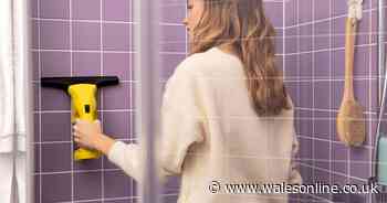 Get Mrs Hinch-approved Karcher Window Vac at a steal for less with deal stack