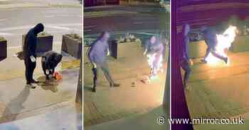 Moment blundering arsonist rips off pants after setting himself on fire on Christmas Day