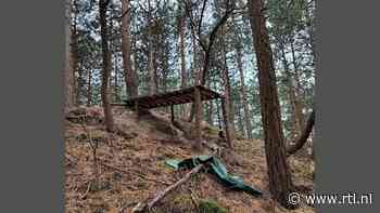 Illegale mountainbikeroutes ontdekt in Schoorlse Duinen, Natura 2000-gebied deels 'vernield'