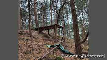 Illegale mountainbikeroutes ontdekt in Schoorlse Duinen, Natura 2000-gebied deels 'vernield'