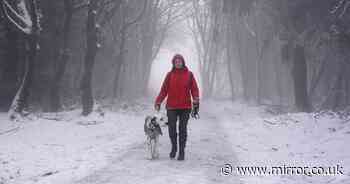 UK weather: Arctic blast leaves this month odds on to be coldest January ever recorded