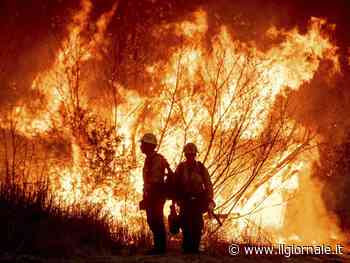 Inferno a Los Angeles: distrutta un'area grande come San Francisco. Arrestato un piromane