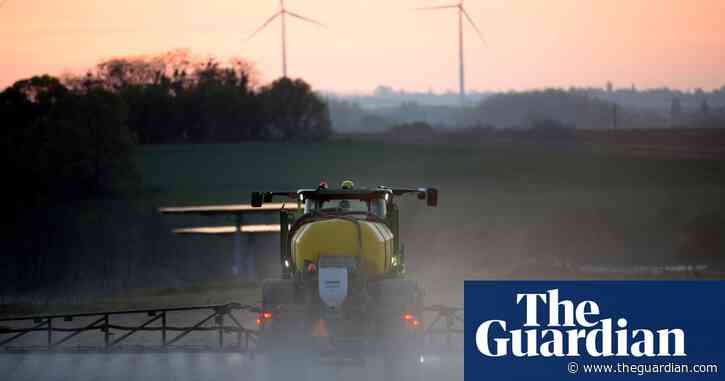 UK’s first glyphosate-resistant weed found on Kent farm