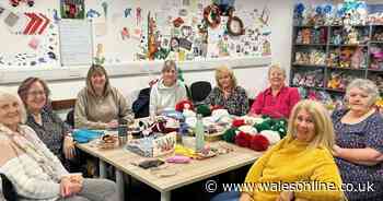 A tiny team of volunteers are making 7,000 toys a year to help sick children