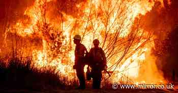 Homeless man 'with flamethrower' blamed for starting LA wildfire