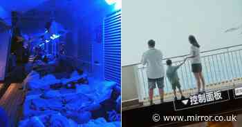 When cruises go horribly wrong – from harrowing 'falling man' photo to 'sewage on walls'