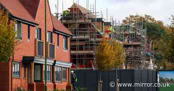 Housebuilders to reveal whether demand is picking up after prolonged slump