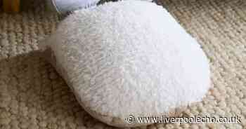 Dunelm's £10 'fluffy' foot warmer that 'keeps toes cold in the winter'