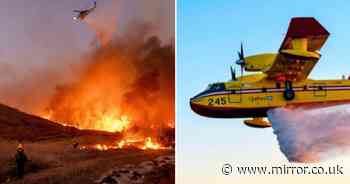 LA wildfires disaster as firefighting plane crashes into drone while battling blaze