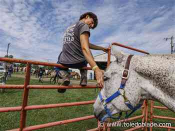 State announces 2025 dates for county, independent fairs