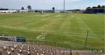 Cricket club's relocation due to Ospreys move 'could be fantastic'