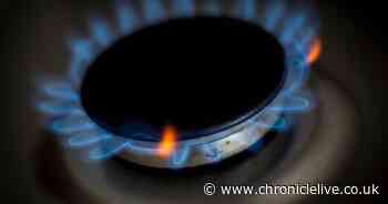 National Grid says Britain has 'enough' gas after Centrica warning supplies 'concerningly low'