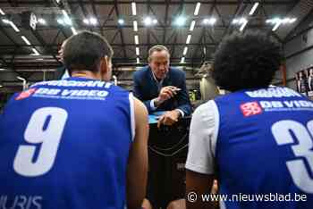 BNXT League: Limburg United boekt na winterstop vlotte zege tegen LWD Basket