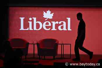 Liberal leadership race: A look at the potential candidates