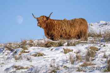 Scottish hamlet reaches minus 17.3C in coldest January night in 15 years