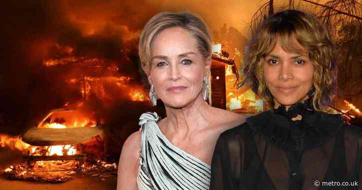 Halle Berry donates her entire closet as celebrities offer aid amid devastating LA wildfires