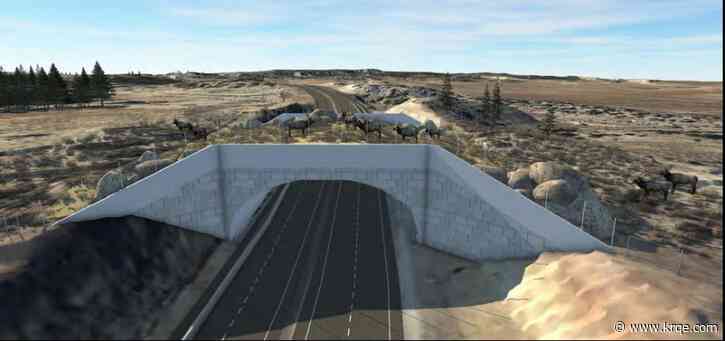 New Mexico roadway hotspots identified as potential sites for wildlife bridges