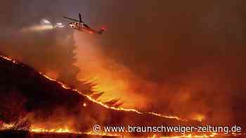 Waldbrand in Los Angeles: Zahl der Toten steigt auf elf