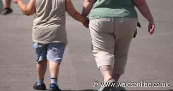 Overweight children are at risk from suffering dementia in later life new research shows