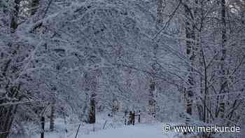 Winter-Suchbild: Finden Sie den Hund, der sich im Schnee versteckt?