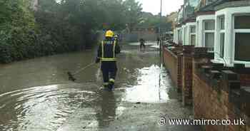 'I live on 'Poo Mews' where it's been flooding with sewage and dead rats for 30 years'