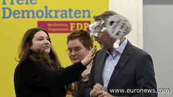 Germany's Liberal Democrat leader victim of patisserie attack