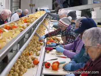 Leamington’s Gleaners boost 2024 output to record 5M soups for the hungry