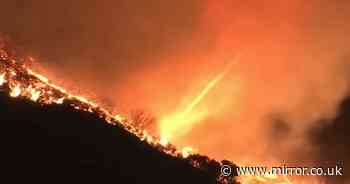 LA fires: Ultra rare 'fire tornado' caught on camera tearing towards leafy neighbourhood