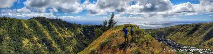 Small group has a big impact in native forest restoration