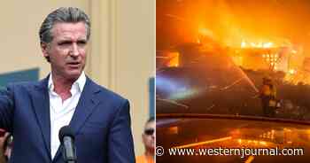 Just 7 Months Before Fires, Gavin Newsom Cut $101 Million in Forest Wildfire Funding