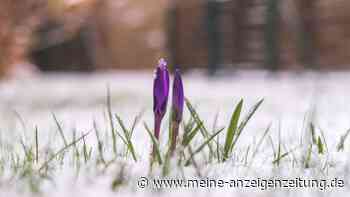 Frühjahrsfit: So wecken Sie Ihren Garten aus dem Winterschlaf