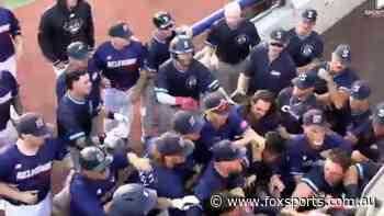 ‘This is something else’: Wild bench-clearing brawl breaks out in Australian baseball match