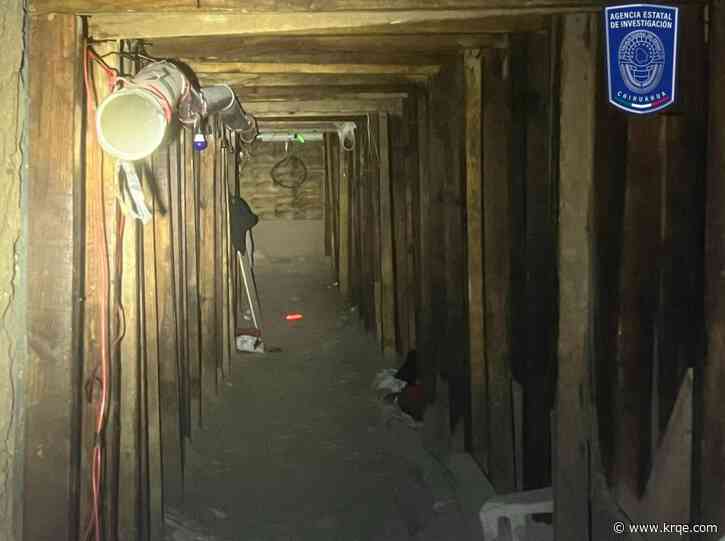 HSI promises to find those responsible for 'sophisticated' tunnel