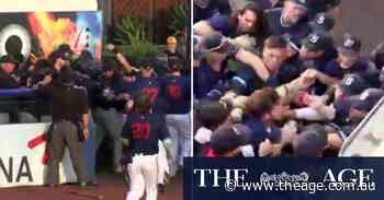 Wild fight in Aussie baseball game