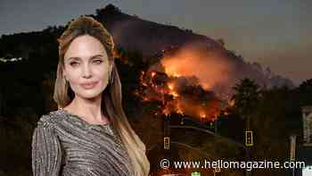 Angelina Jolie and son Knox reveal poignant decision amid LA wildfires