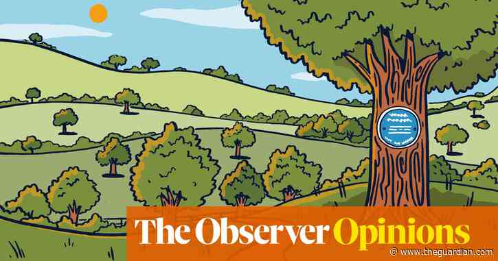 Jane Austen’s plates or the woods near her home? I know which I’d rather save | Martha Gill