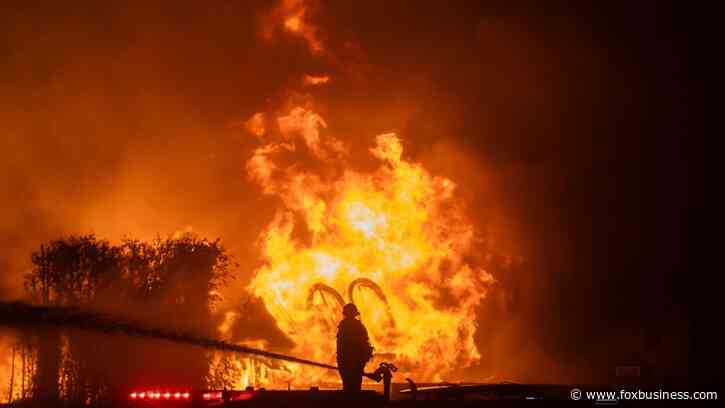 Los Angeles wildfires: Big businesses make donations, offer services to those impacted by infernos