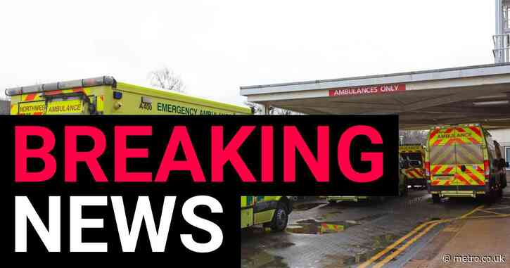 Nurse fighting for life after being stabbed at hospital A&E department