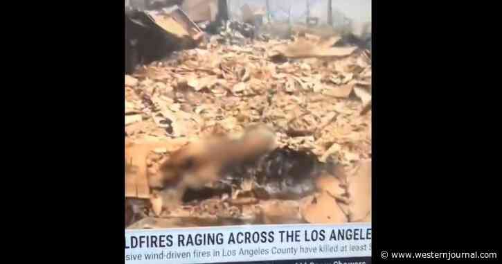 Weather Channel Accused of Airing Burnt Body in LA Fire Coverage: 'Tell Me That's Not a Skull... You Can See the Leg Bones Coming Out'