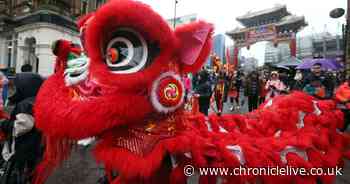 Newcastle's Chinese New Year celebrations confirmed for 2025's Year of the Snake