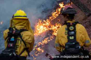 Watch live: Los Angeles County officials give wildfire update as death toll rises