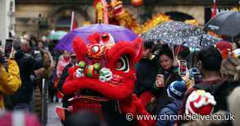 When is Chinese New Year 2025, what is the animal and what does it mean for the coming year?